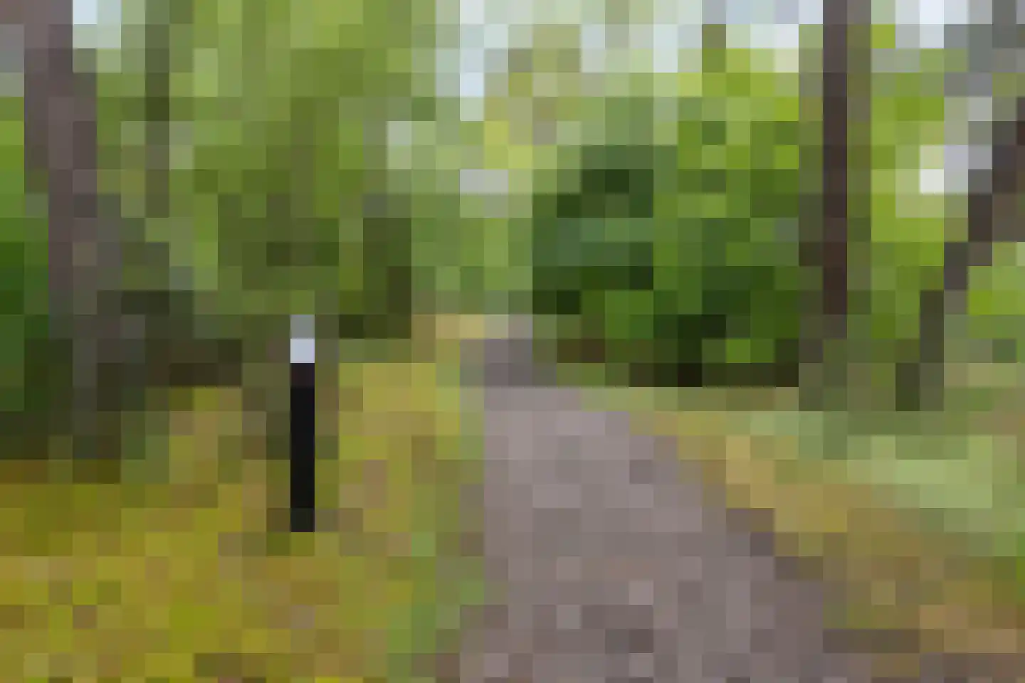 Wolfsven 11 Well L thumbnail 48