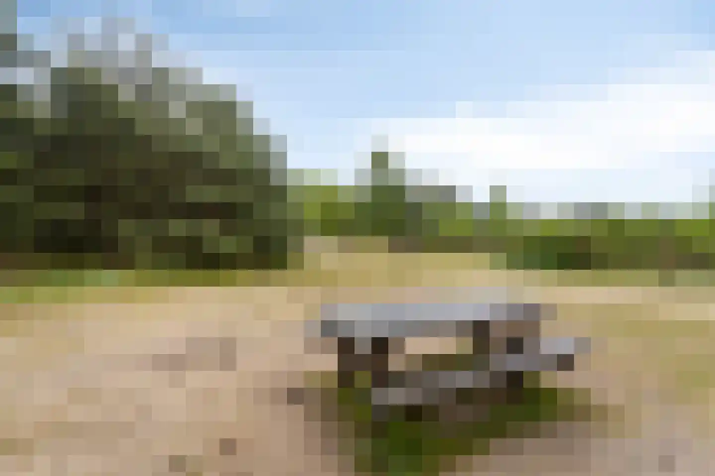 Wolfsven 11 Well L thumbnail 52