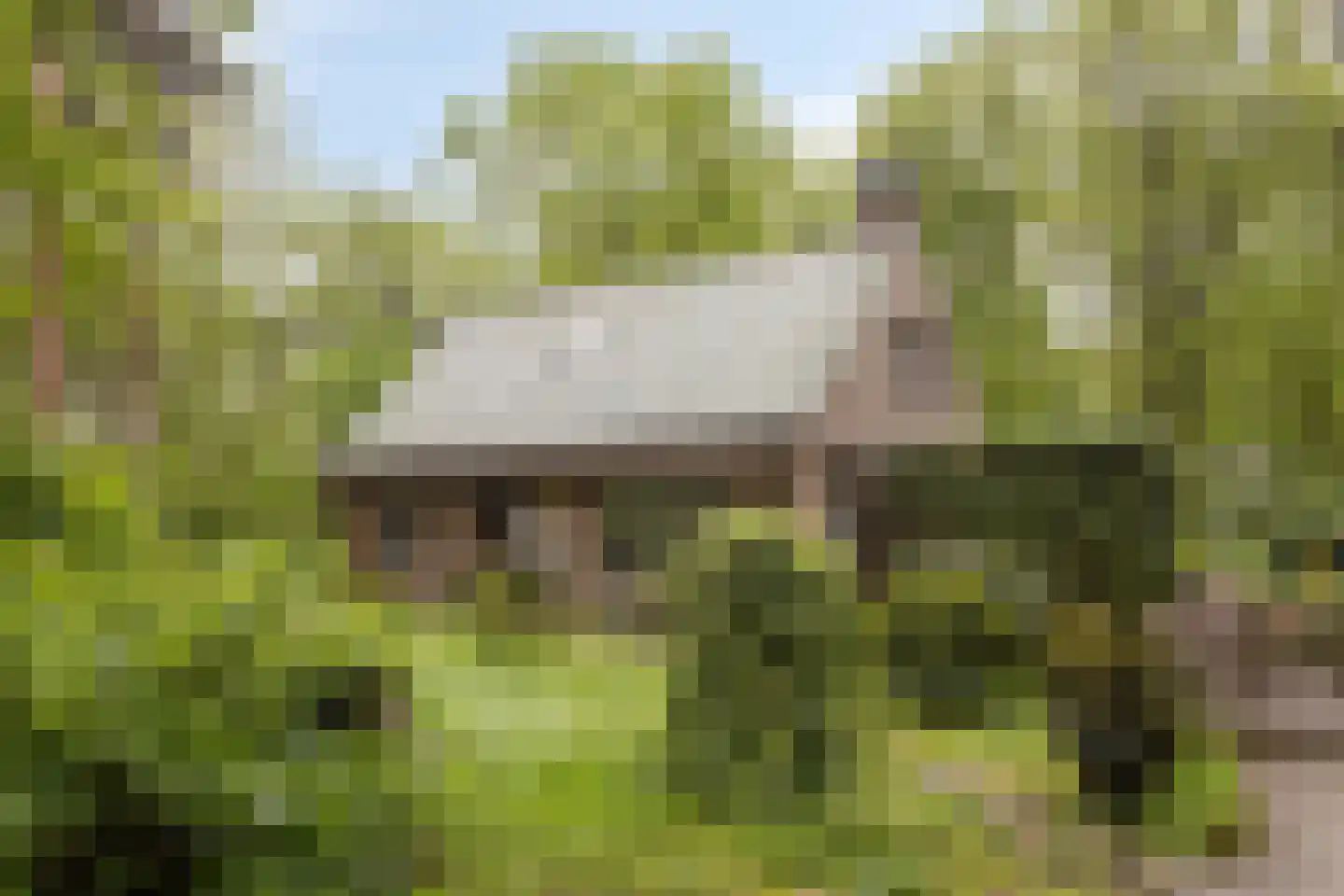 Wolfsven 11 Well L thumbnail 53