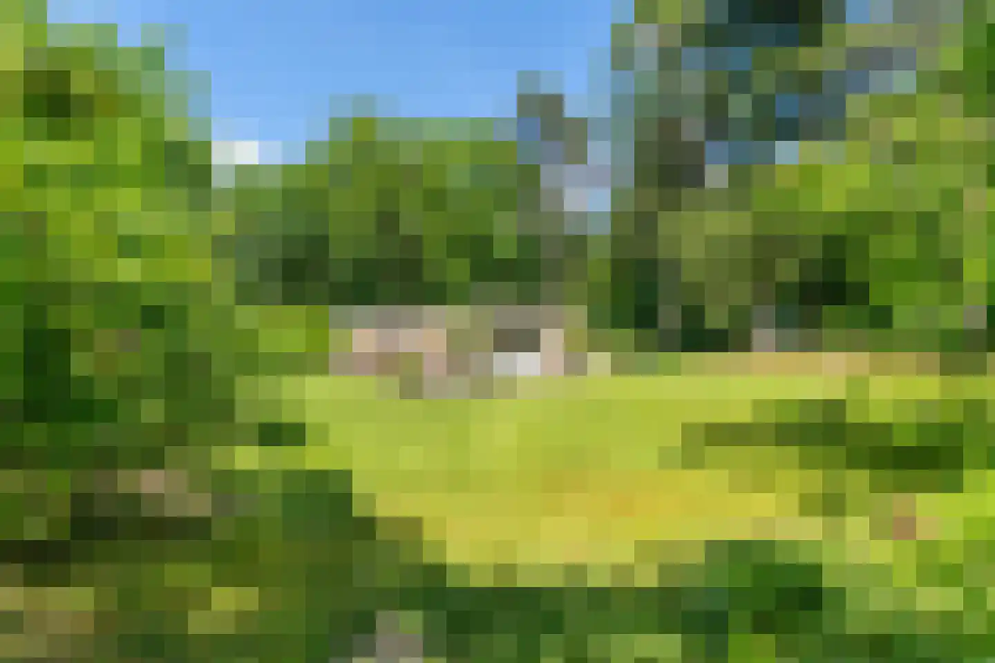 Wolfsven 7 in Well L