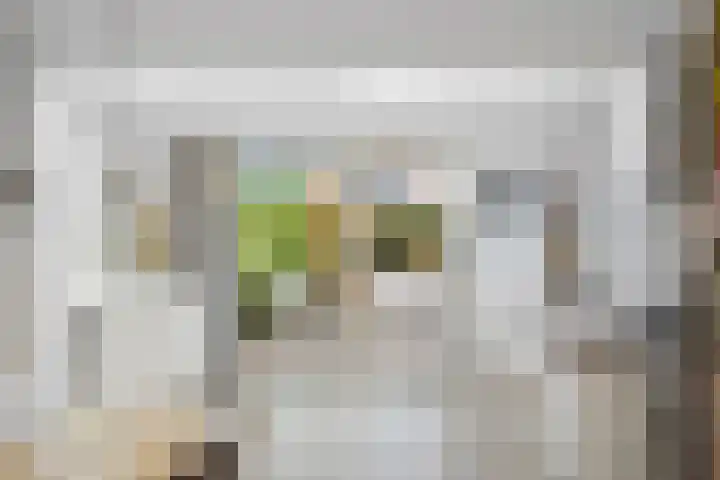 Wolfsven 7 Eindhoven thumbnail 16