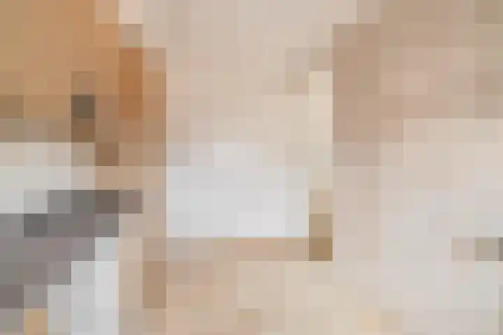 Wolfsven 7 Eindhoven thumbnail 17