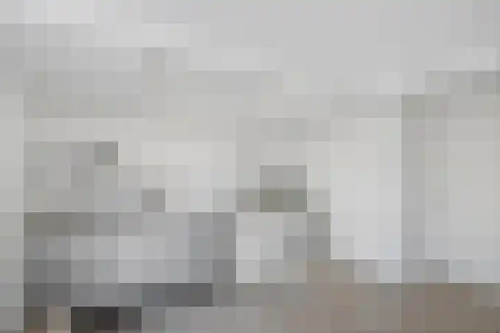 Wolfsven 7 Eindhoven thumbnail 26
