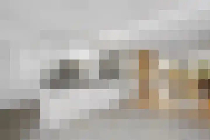 Wolfsven 7 Eindhoven foto 3