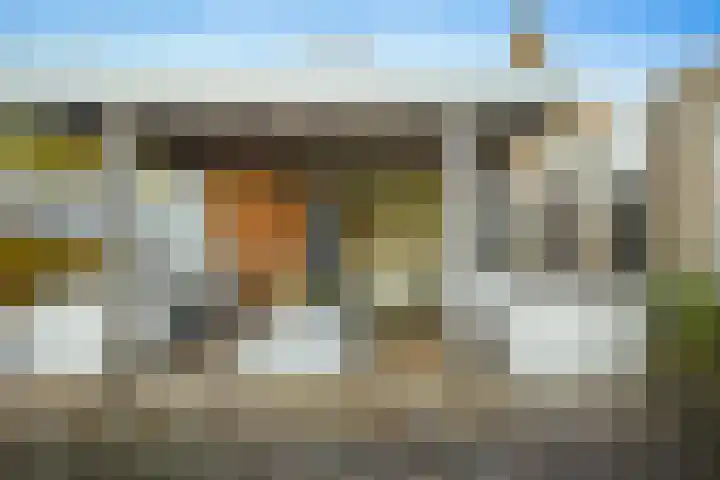 Wolfsven 7 Eindhoven thumbnail 30