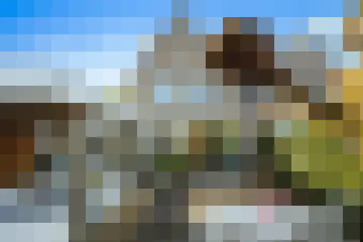 Wolfsven 7 Eindhoven thumbnail 37