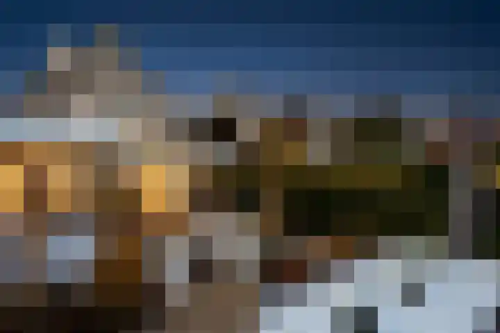 Wolfsven 7 Eindhoven thumbnail 39