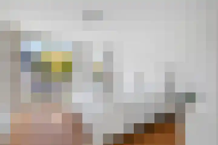 Wolfsven 7 Eindhoven thumbnail 44