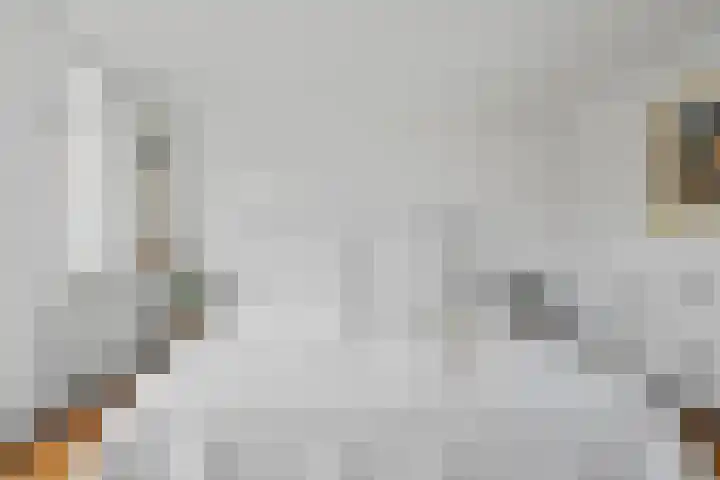 Wolfsven 7 Eindhoven thumbnail 45