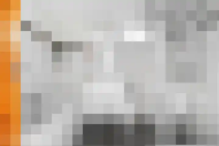 Wolfsven 7 Eindhoven thumbnail 50