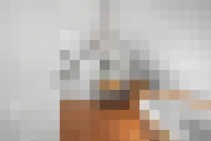 Wolfsven 7 Eindhoven thumbnail 57