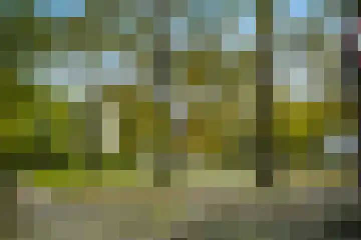 Wolfsven 7 Eindhoven thumbnail 63