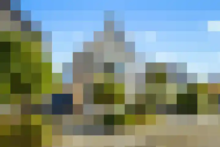 Wolfsven 7 Eindhoven thumbnail 8