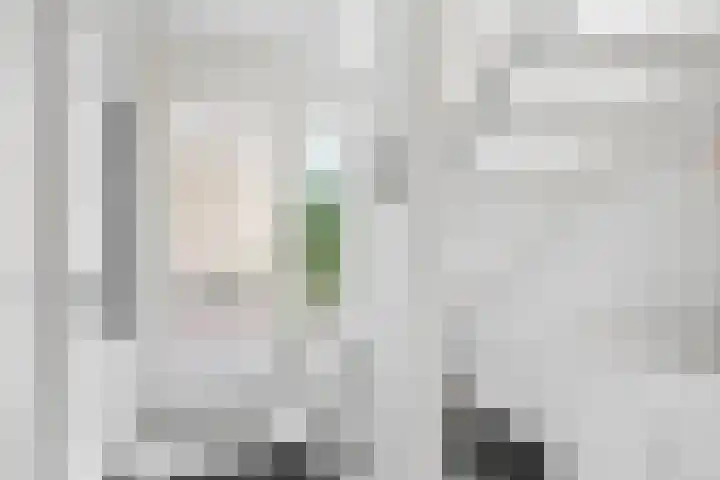 Wolfsven 7 Eindhoven thumbnail 9