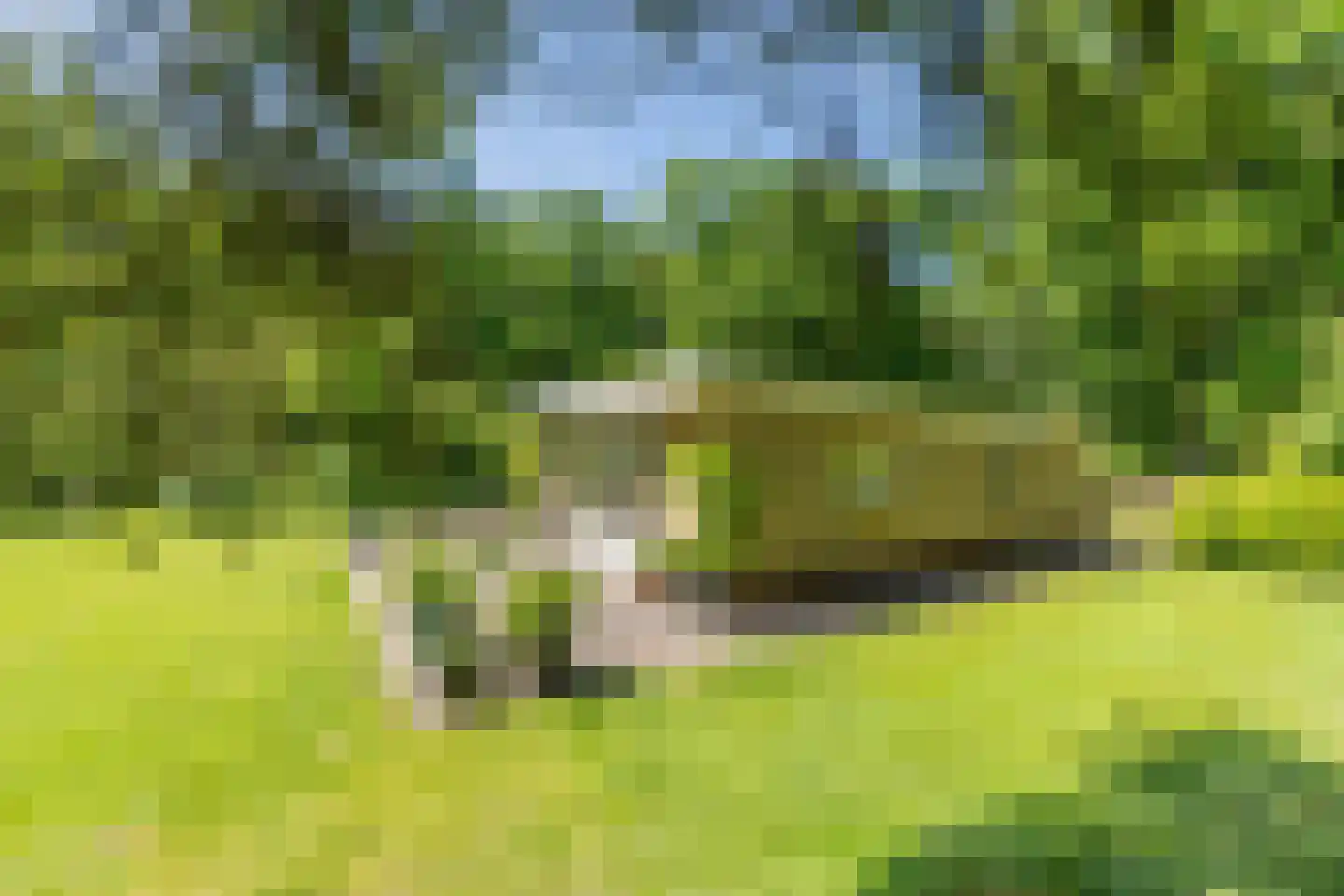 Wolfsven 7 Well L thumbnail 10