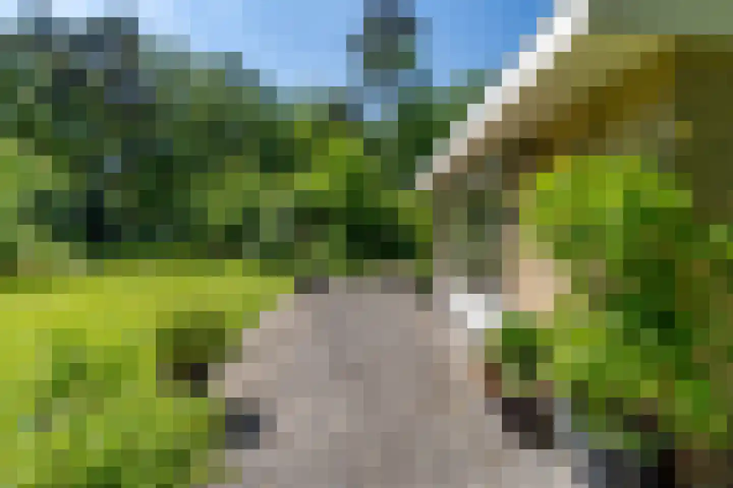 Wolfsven 7 Well L thumbnail 12