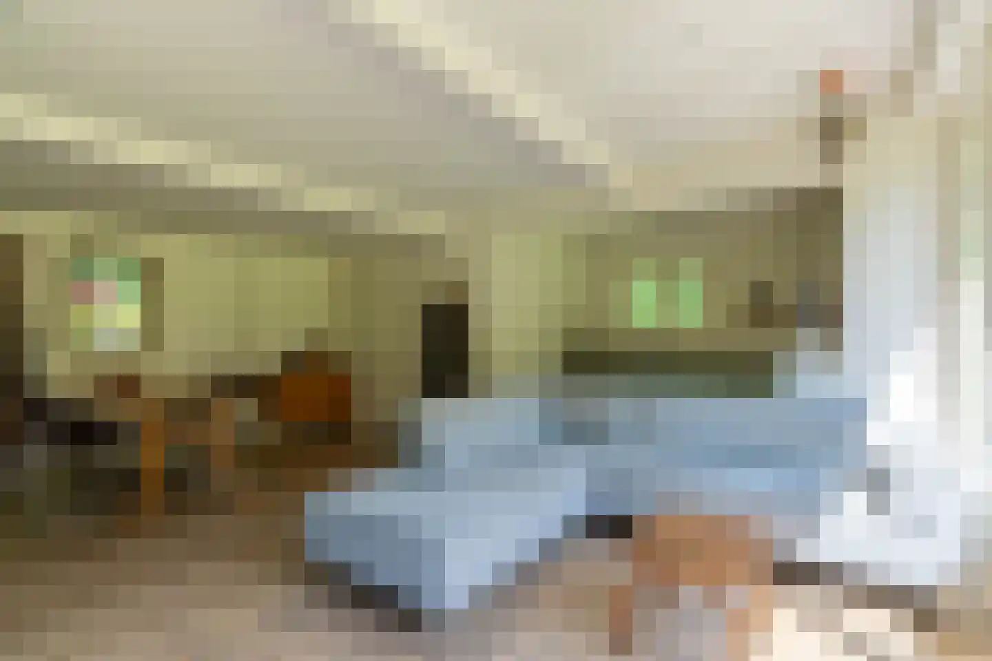 Wolfsven 7 Well L thumbnail 16
