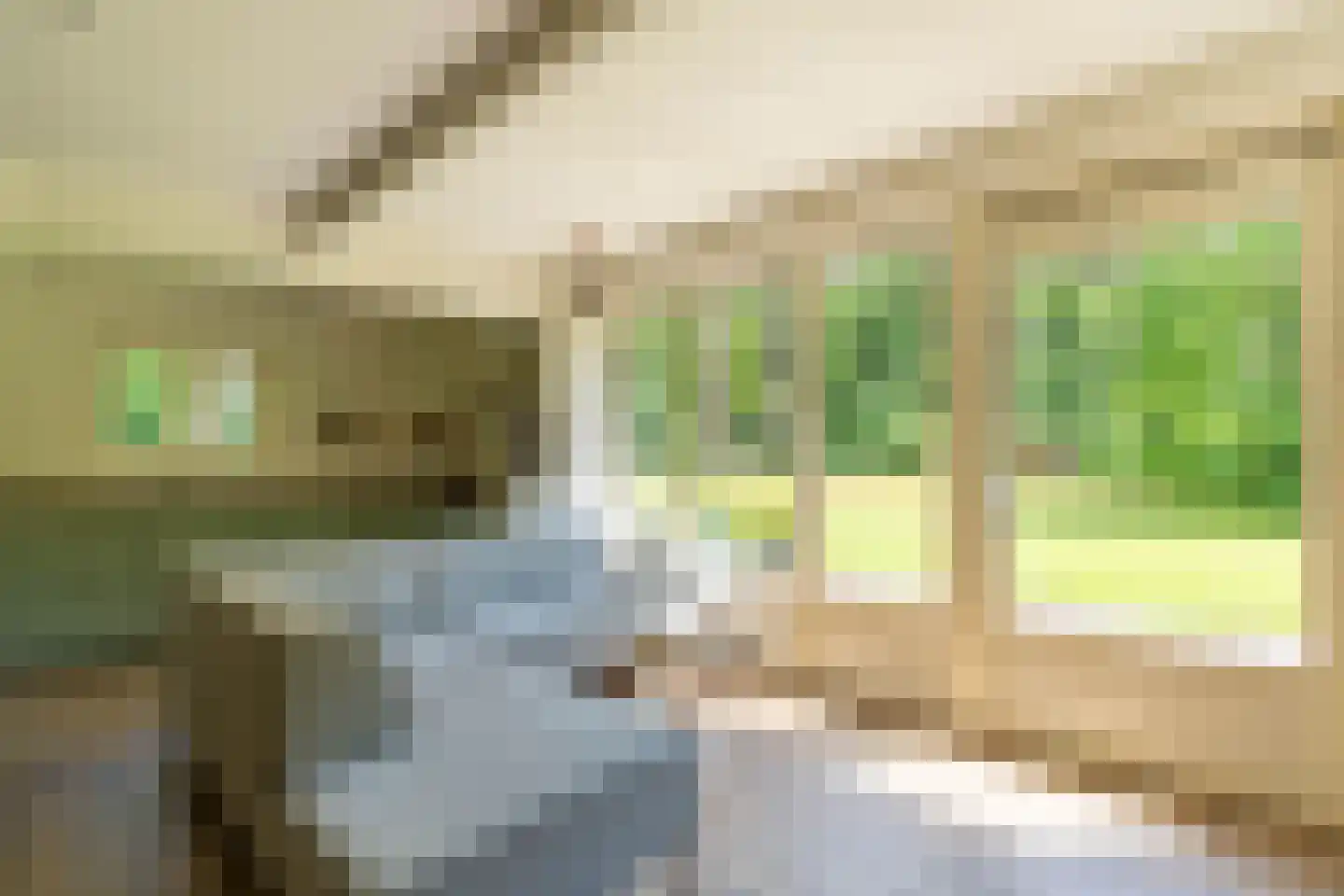 Wolfsven 7 Well L thumbnail 19