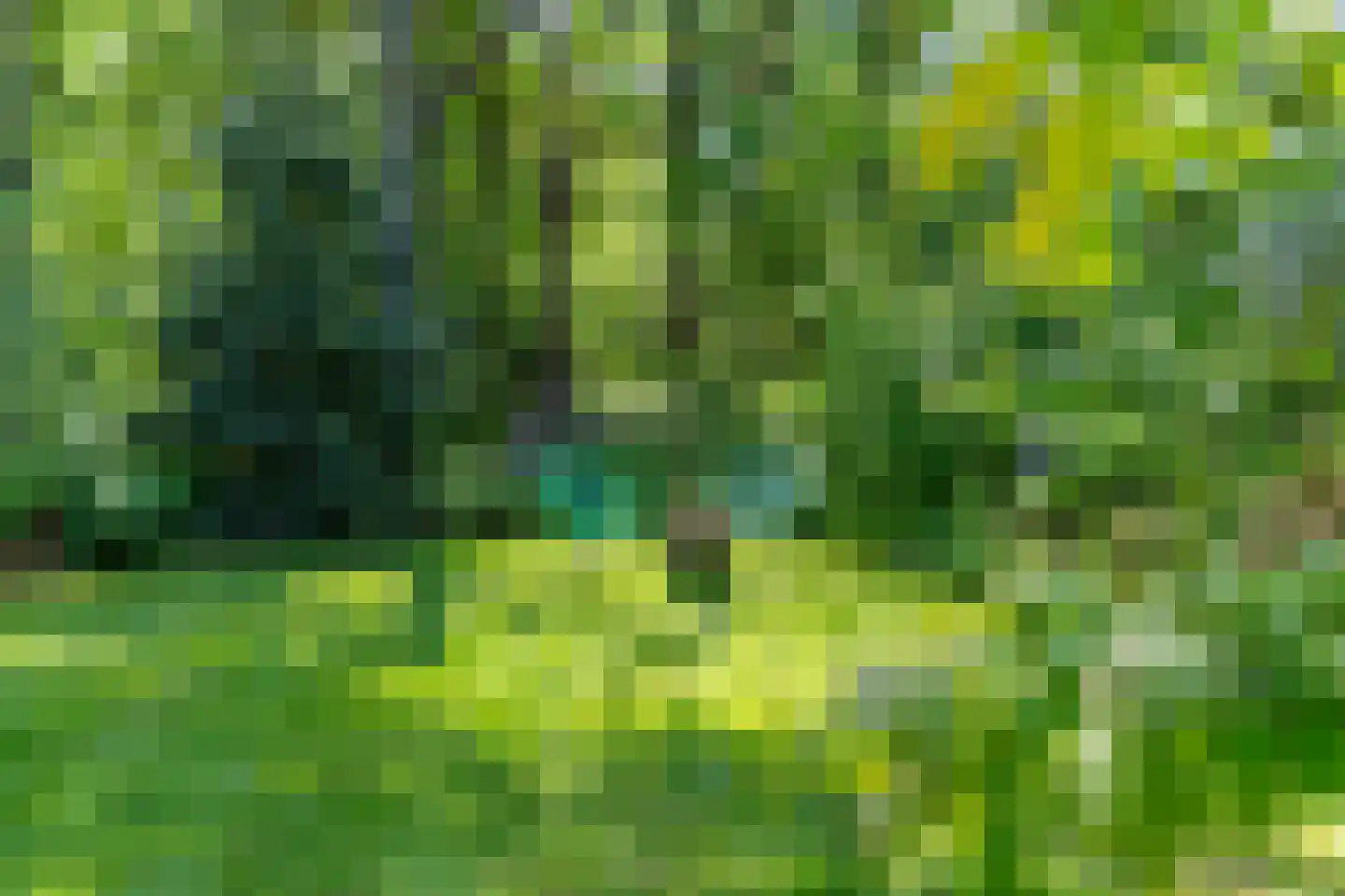 Wolfsven 7 Well L thumbnail 32