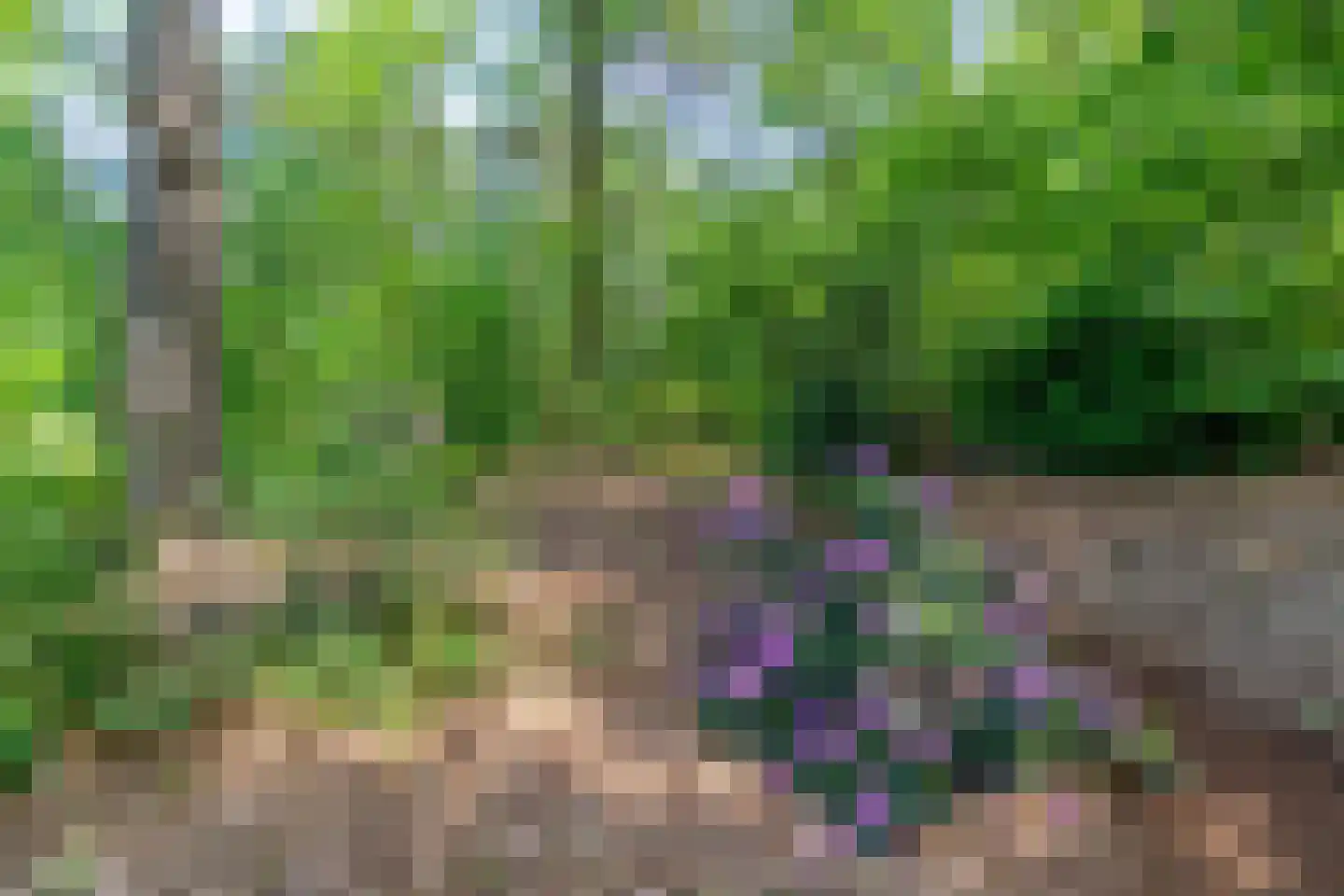 Wolfsven 7 Well L thumbnail 33