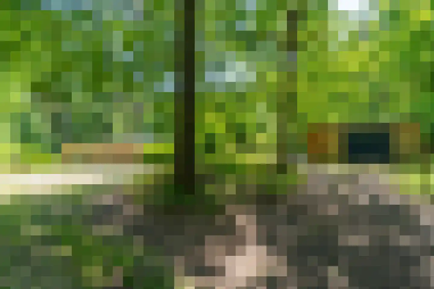 Wolfsven 7 Well L thumbnail 34