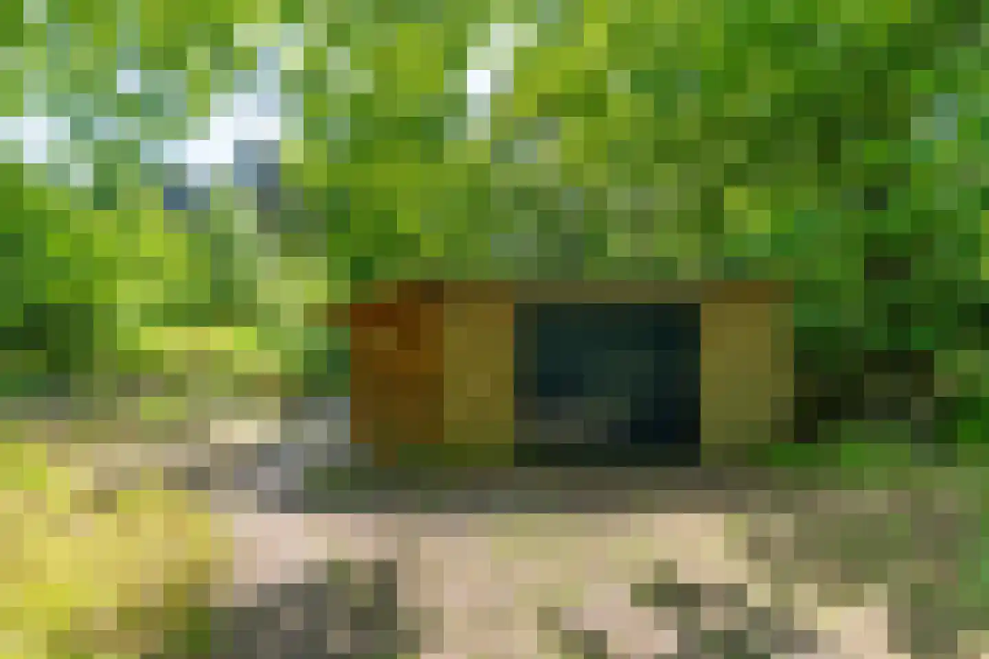 Wolfsven 7 Well L thumbnail 36