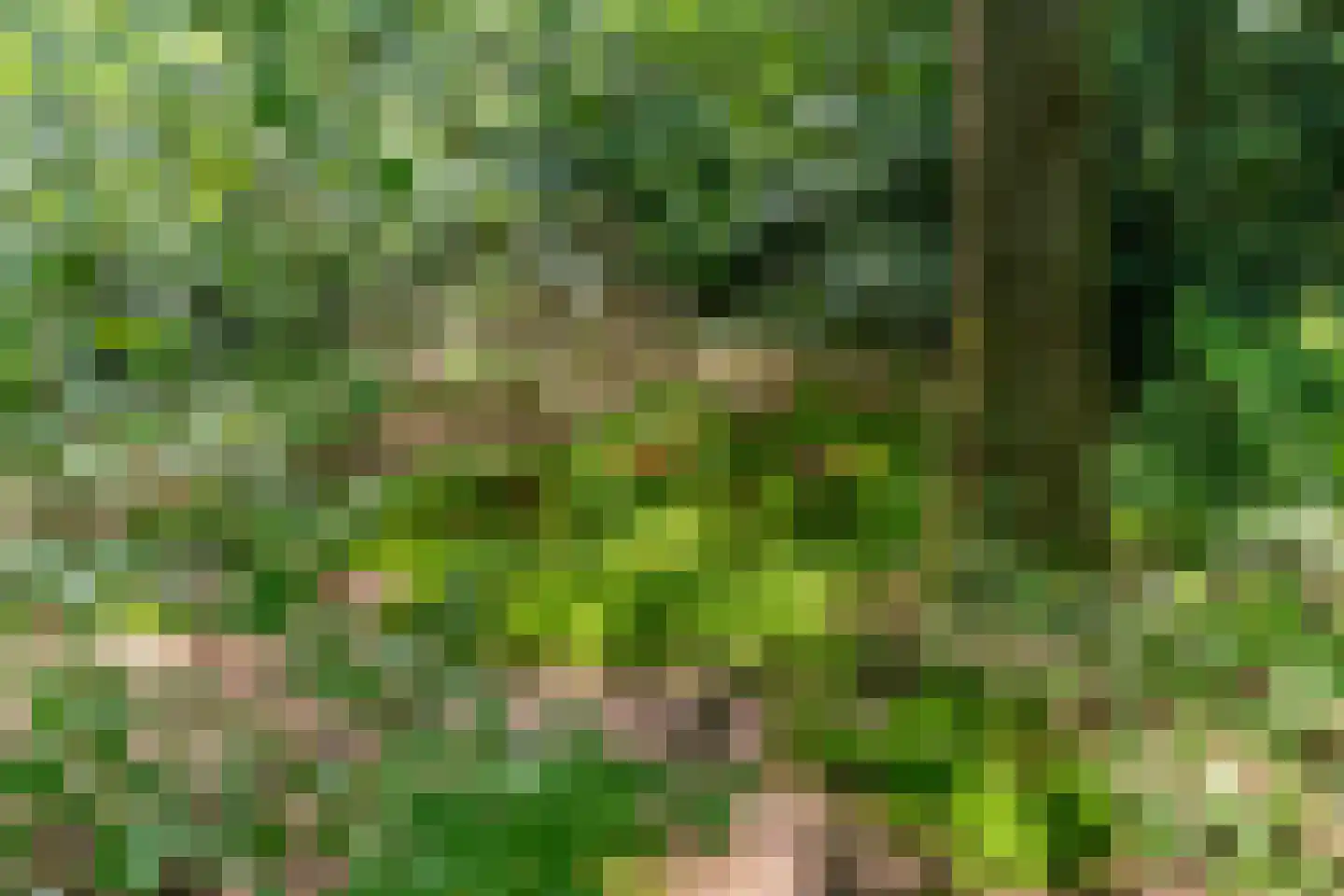 Wolfsven 7 Well L thumbnail 38