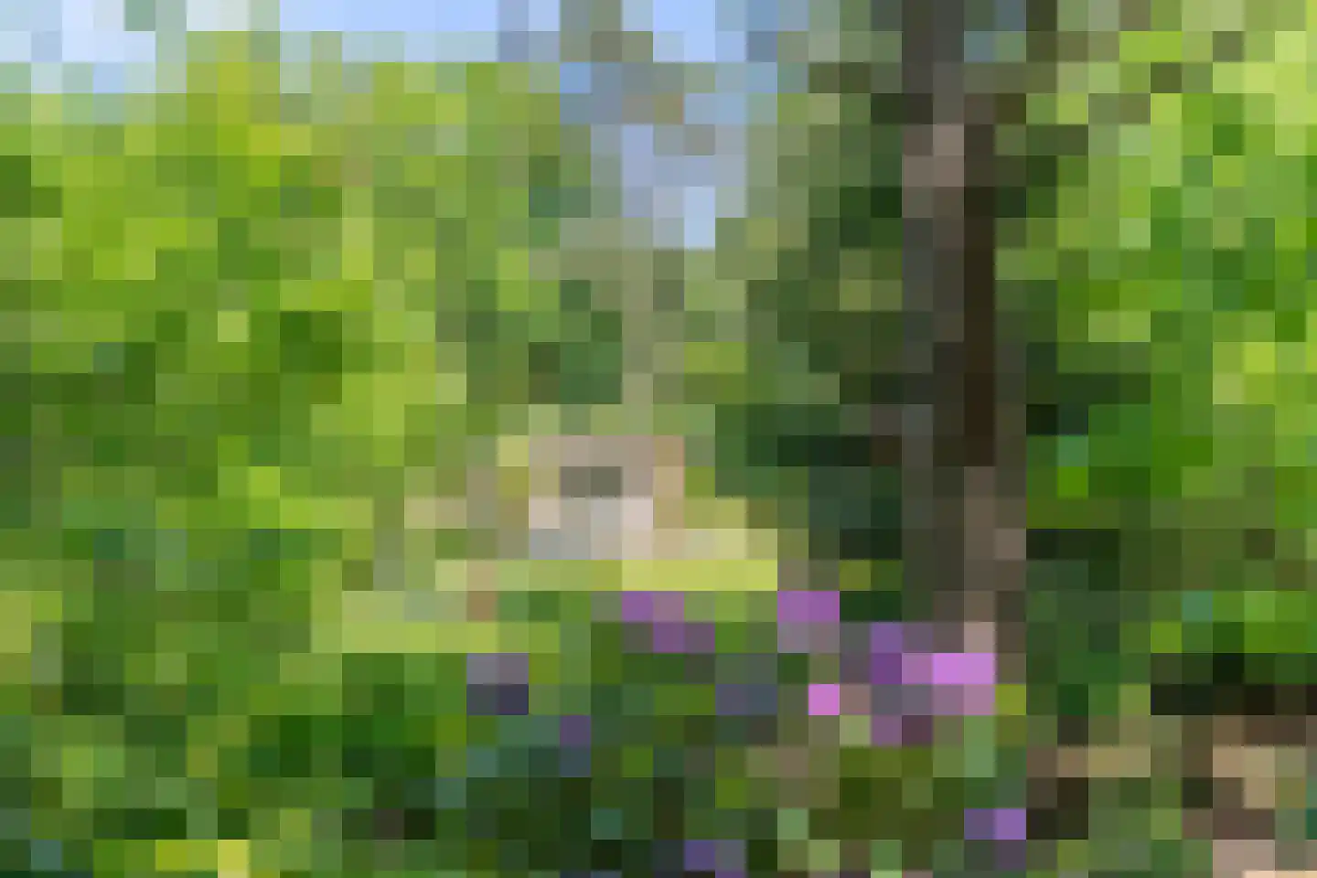 Wolfsven 7 Well L thumbnail 39