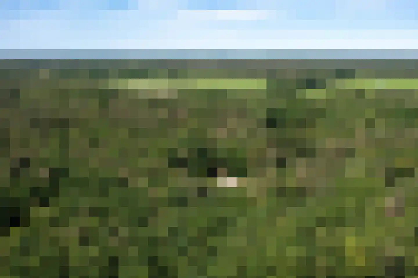 Wolfsven 7 Well L thumbnail 4