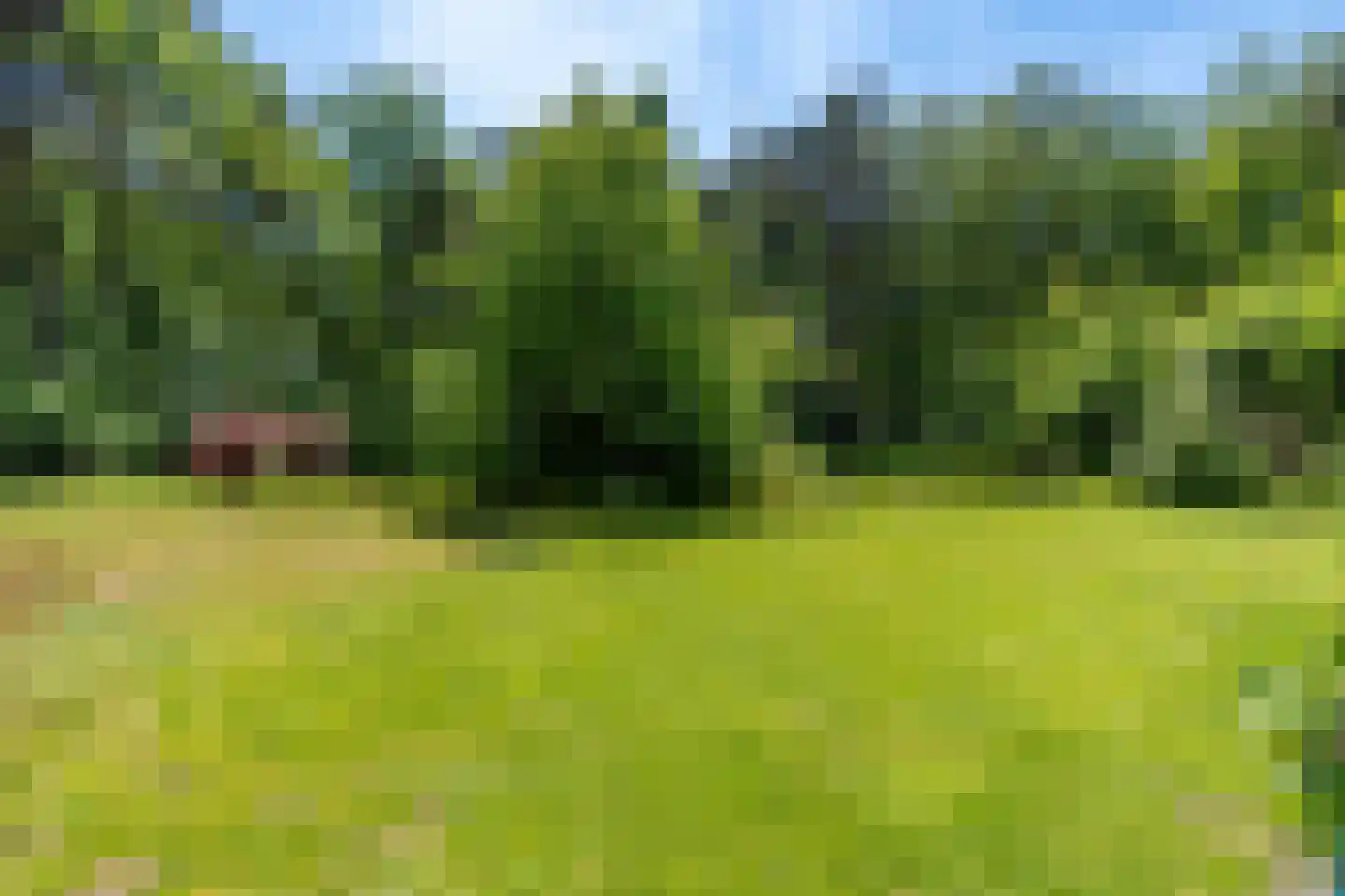 Wolfsven 7 Well L thumbnail 40