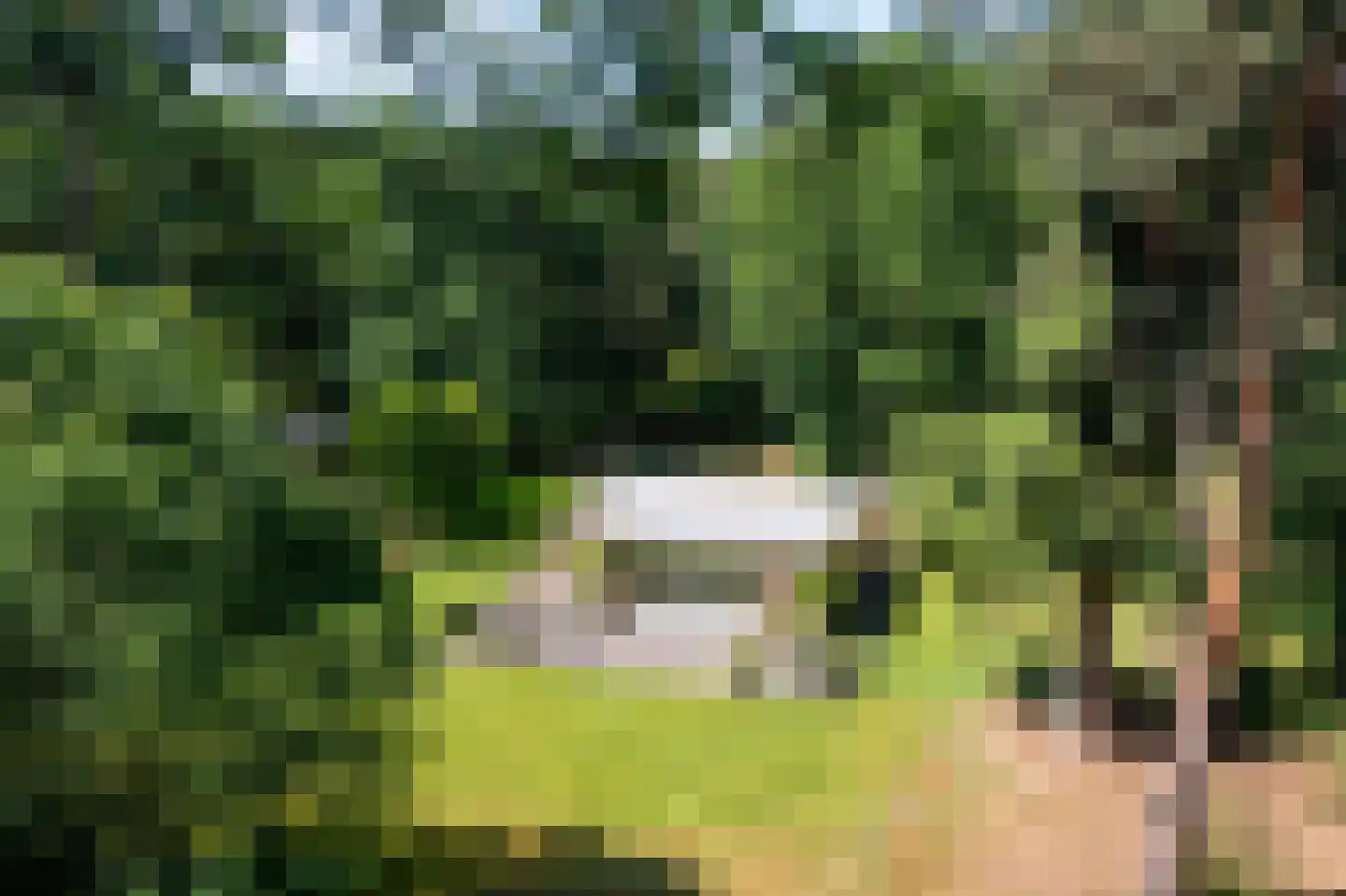 Wolfsven 7 Well L thumbnail 44