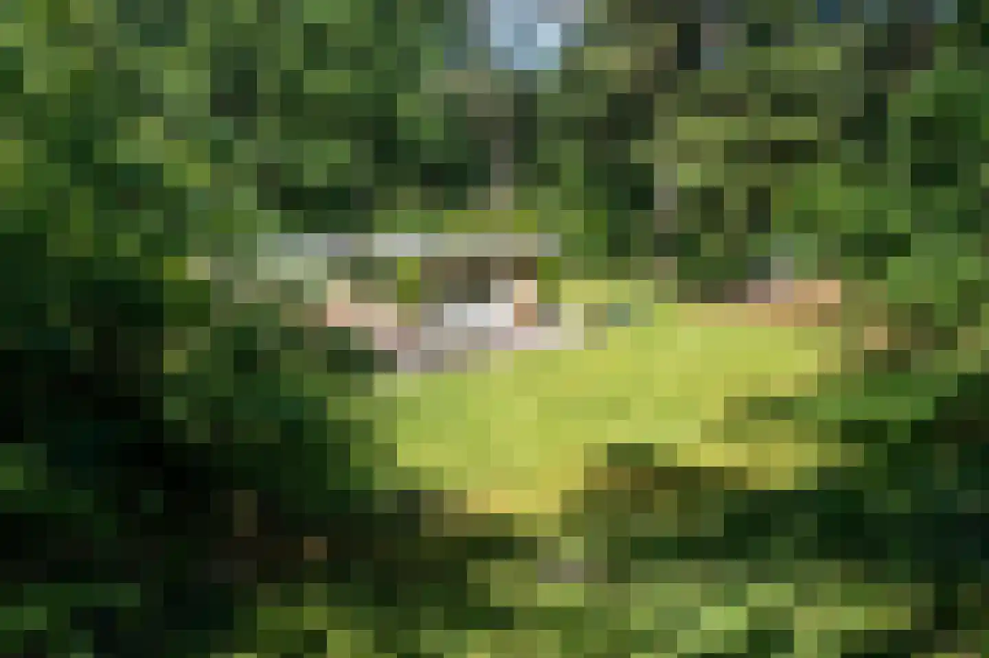 Wolfsven 7 Well L thumbnail 45