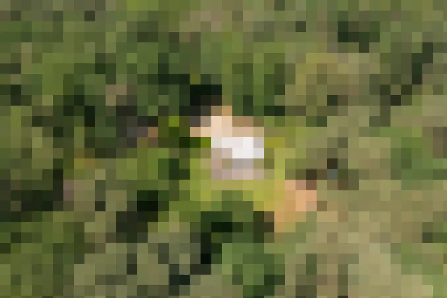 Wolfsven 7 Well L thumbnail 5
