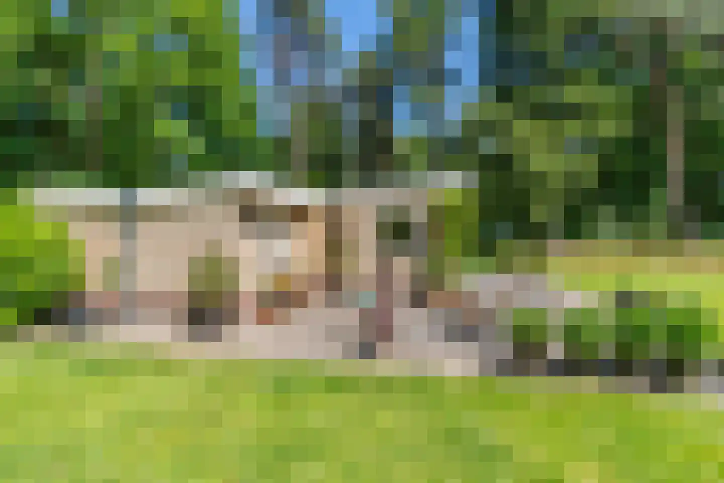 Wolfsven 7 Well L thumbnail 7