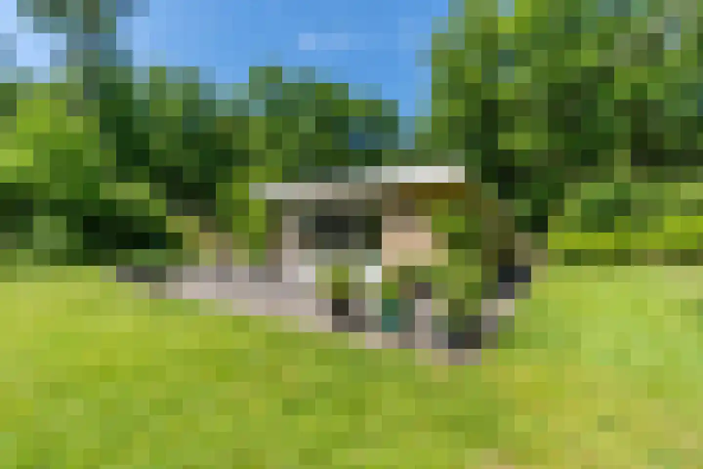 Wolfsven 7 Well L thumbnail 8
