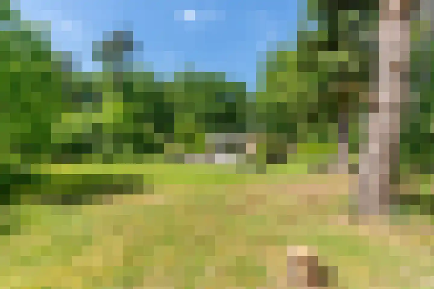 Wolfsven 7 Well L thumbnail 9