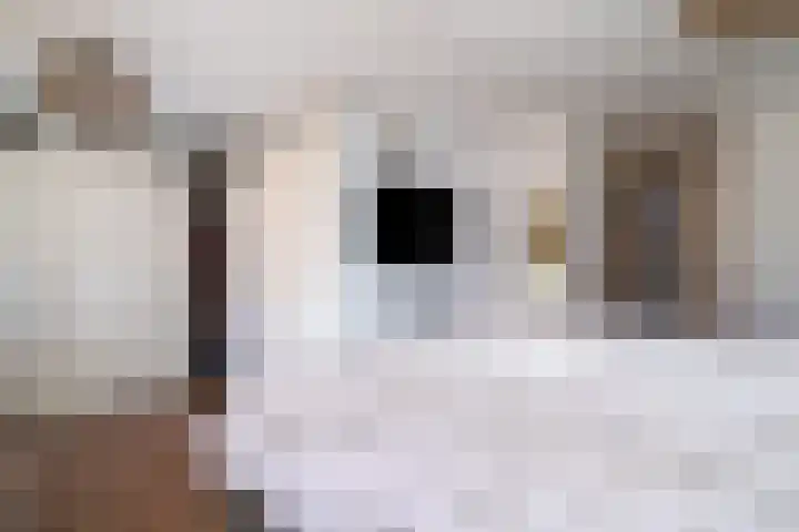 Wolfsweg 19 Eygelshoven thumbnail 16