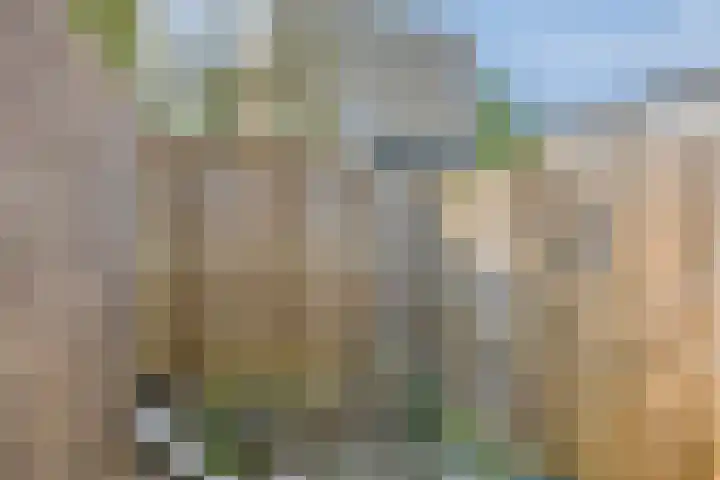 Wolfsweg 22 Kerkrade thumbnail 24