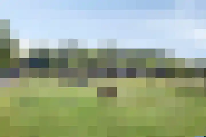 Wolfsweg 22 Kerkrade thumbnail 30