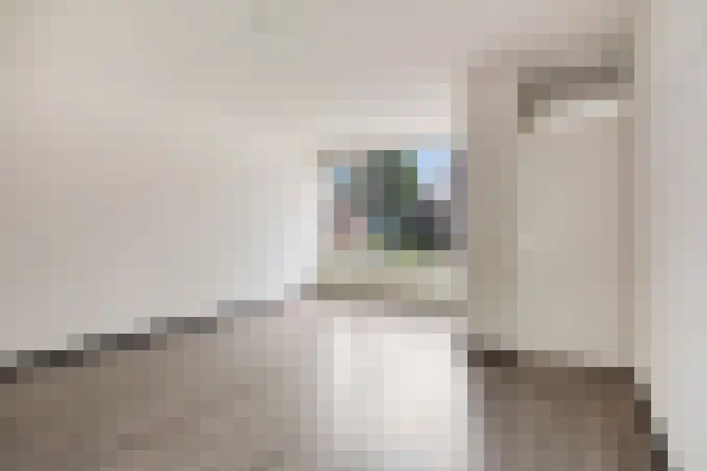 Wolfsweg 35 Eygelshoven thumbnail 8