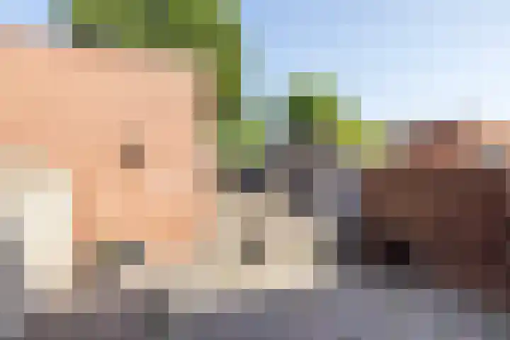 Wolfsweg 43 Eygelshoven thumbnail 25
