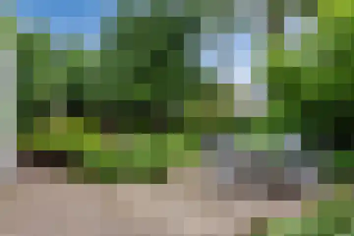 Wolfswinkel 22 Budel thumbnail 33