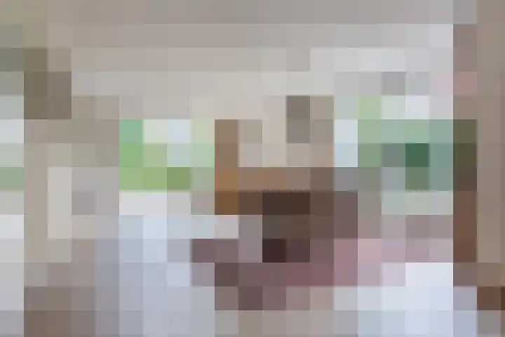 Wolfswinkel 22 Budel thumbnail 7