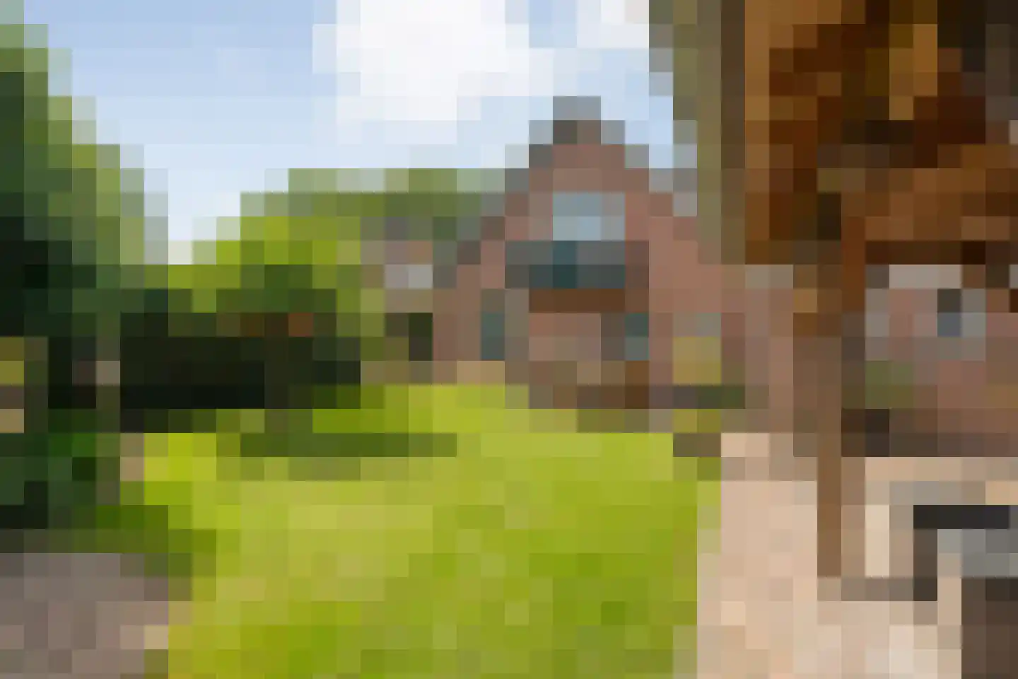 Wolfweg 26 Schuinesloot thumbnail 31