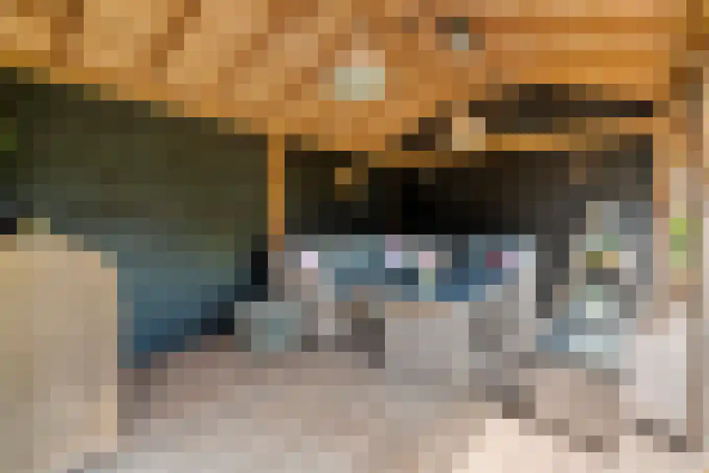 Wolfweg 26 Schuinesloot thumbnail 34