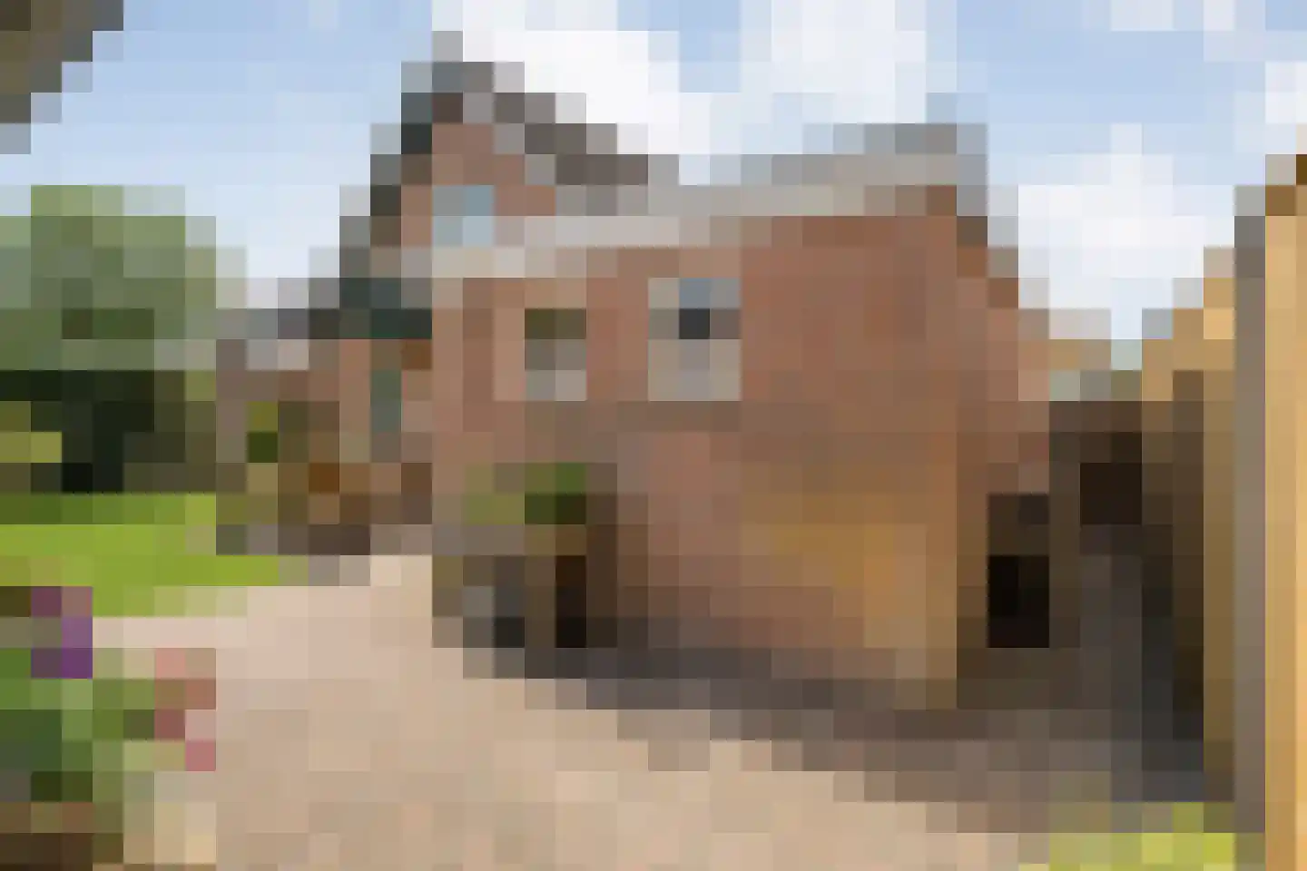 Wolfweg 26 Schuinesloot thumbnail 35
