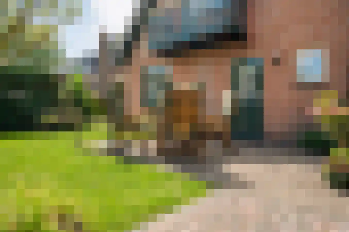 Wolfweg 26 Schuinesloot thumbnail 36