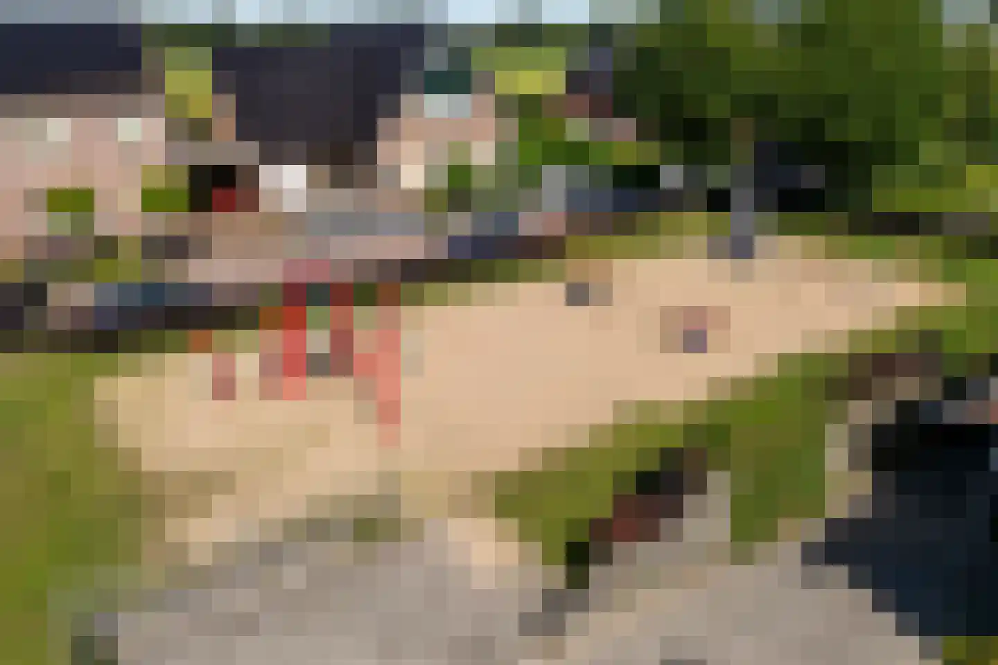 Wolfweg 26 Schuinesloot thumbnail 38