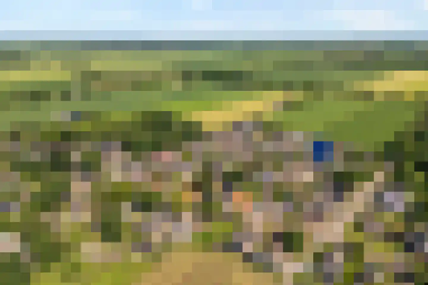 Wolfweg 26 Schuinesloot thumbnail 39