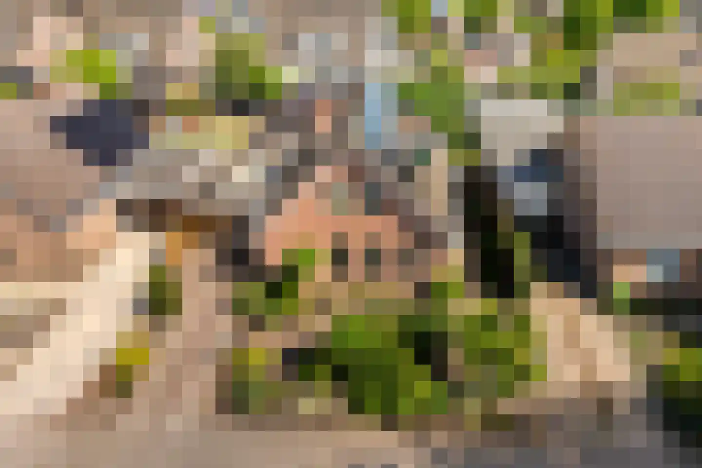 Wolfweg 26 Schuinesloot thumbnail 41